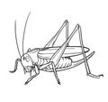 Grasshopper in black outline on off-white background