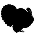 Turkey silhouette isolated on the white background