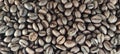 Rosted arabica medium Coffee bean