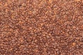 Rosted brown cofee beans, background, close up Royalty Free Stock Photo