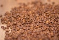 Rosted brown cofee beans, background, close up Royalty Free Stock Photo