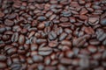 rosted coffee beans background