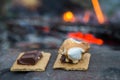 Rosting marshmallows and smores on campfire.