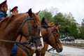 ROSTOV-ON-DON, RUSSIA - APRIL 22, 2022:Don Cossacks on horses. Royalty Free Stock Photo