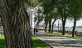 Shady alley of Rostov-on-Don embankment with large trees and walking people