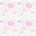 Rosy peony floral sketch. spring flower Royalty Free Stock Photo