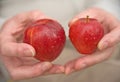 Rosy red apples: size matters.