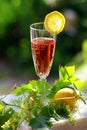 RosÃÂ© wine Royalty Free Stock Photo