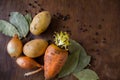 Rot fresh vegetables on the table Royalty Free Stock Photo