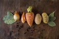 Rot fresh vegetables on the table Royalty Free Stock Photo