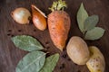 Rot fresh vegetables on the table Royalty Free Stock Photo