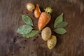 Rot fresh vegetables on the table Royalty Free Stock Photo