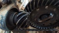 Rotary gear on a diesel engine that was already worn out
