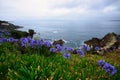 Rotary Park Lookout, Eden, NSW Royalty Free Stock Photo