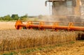 Rotary straw walker combine harvester cuts and threshes ripe wheat grain. Platform grain header with thresher reel