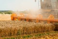 Rotary straw walker combine harvester cuts and threshes ripe wheat grain. Platform grain header with thresher reel