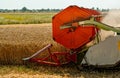 Rotary straw walker combine harvester cuts and threshes ripe wheat grain. Platform grain header with thresher reel