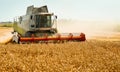 Rotary straw walker cut and threshes ripe wheat grain. Man in combine harvesters with grain header, wide chaff spreader