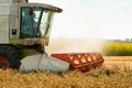 Rotary straw walker cut and threshes ripe wheat grain. Man in combine harvesters with grain header, wide chaff spreader