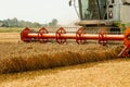 Rotary straw walker cut and threshes ripe wheat grain. Man in combine harvesters with grain header, wide chaff spreader