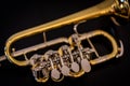 Rotary valve piccolo trumpet