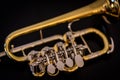 Rotary valve piccolo trumpet Royalty Free Stock Photo