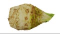Rotating celery root on white background 02 c looping