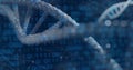 Rotating 3D DNA helix floating in molecular network, with binary overlay, glowing nodes, bokeh orbs Royalty Free Stock Photo