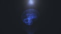 A rotating hologram of the brain. Abstract geometric background with moving lines, dots and triangles. Science anatomy