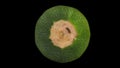 Rotating Round Zucchini on Black Background 02