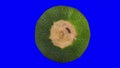 Rotating Round Zucchini on Blue Background 02