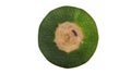 Rotating Round Zucchini on white Background 02