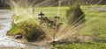 A rotating sprinkler spraying a water into the backyard Royalty Free Stock Photo