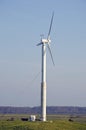 Rotating windmill and cows. Wind renewable energy.