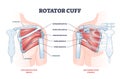 Rotator cuff anatomical structure and location explanation outline diagram