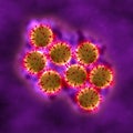 Rotavirus Cells - in fluid Royalty Free Stock Photo