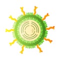 Rotavirus Human Virus Composition Royalty Free Stock Photo