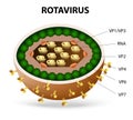 Rotavirus virion Royalty Free Stock Photo