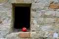 Red apple and unplastered brick wall