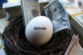 Roth IRA Nest Egg High Quality Royalty Free Stock Photo