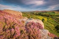 Rothbury Terraces Heather and Crags