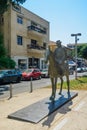 Rothschild Boulevard, Tel-Aviv Royalty Free Stock Photo