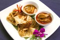 ROTI CANAI WITH CHICKEN CURRY Royalty Free Stock Photo