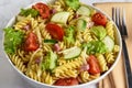 rotini pasta salad, with leetuce tomato and cucumber Royalty Free Stock Photo