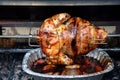 Rotisserie turkey Royalty Free Stock Photo