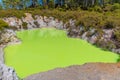 Roto karikitea lake at Wai-O-Tapu in New Zealand Royalty Free Stock Photo