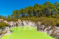 Roto karikitea lake at Wai-O-Tapu in New Zealand Royalty Free Stock Photo