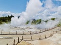 Rotorua being well known for its geothermal activity with violent geysers,