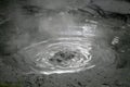 Rotorua boiling mud pool, New Zealand Royalty Free Stock Photo