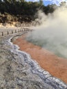 Rotorua Geyser geyser thermal water